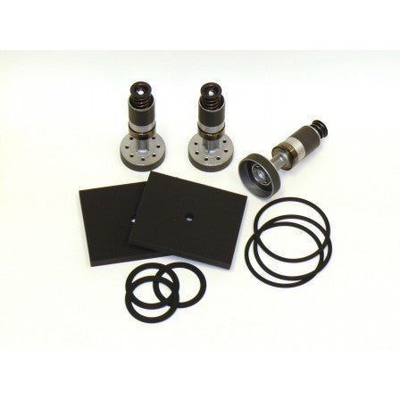 PMC A Pump Rebuild Kit, Size 120